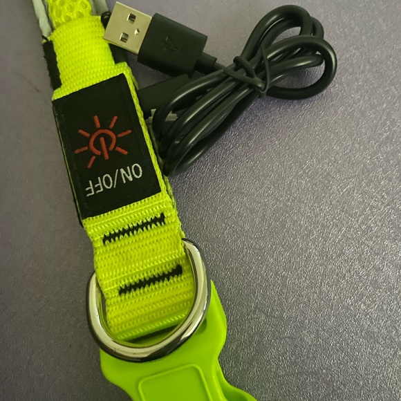 Lighted Dog Collar 3 Settings / USB Charging - Picture 6 of 9